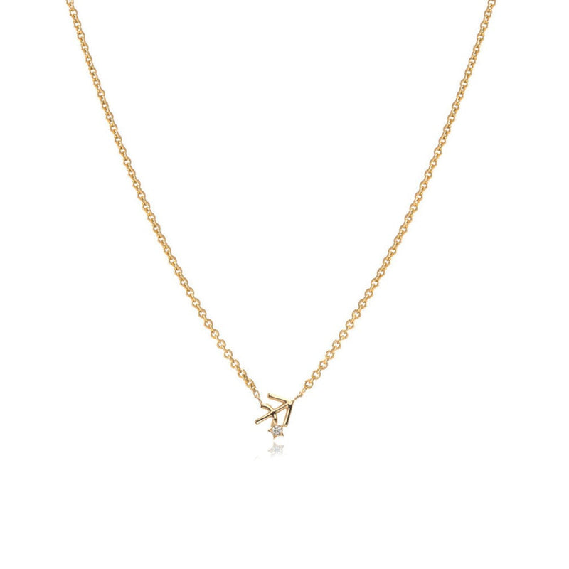 ZODIAC NECKLACE | SAGITTARIUS STAR SIGN